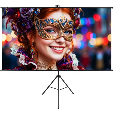Экран для проекторов Lumien LSС-100101