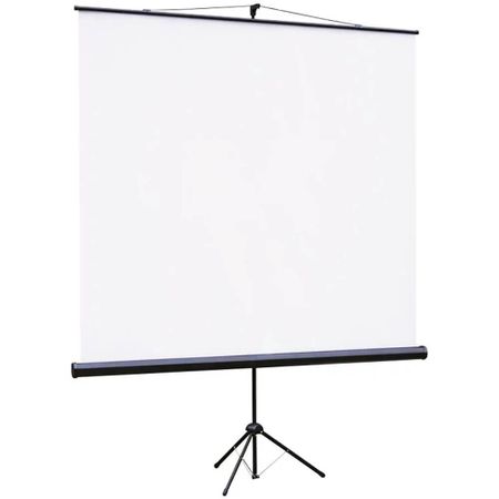 Экран для проекторов Lumien Eco View LEV-100105
