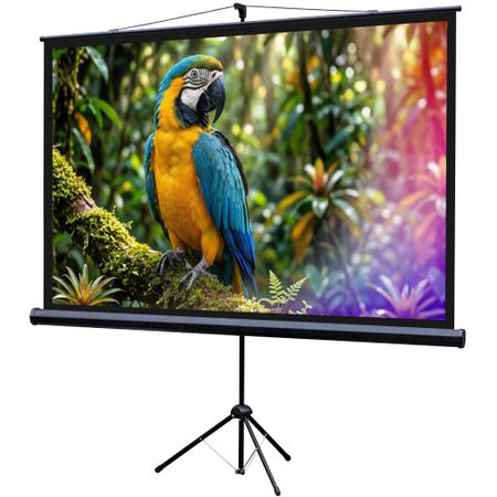 Экран для проекторов Lumien LEV-100113
