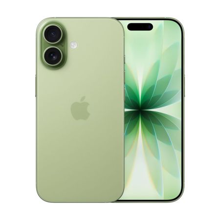 Смартфон Apple iPhone 17 512Gb (Sage) (eSim)