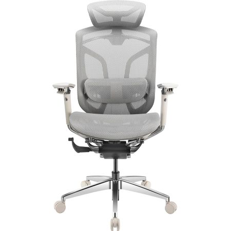 Компьютерное кресло GT Chair Dvary X Pro, серый (GTC-Dvary-X-PRO-серый)