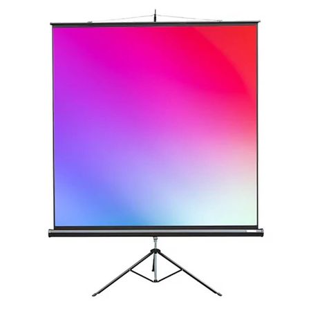 Экран для проекторов Lumien Master View LMV-100109