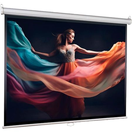 Экран для проекторов Lumien Eco Control LEC-100116