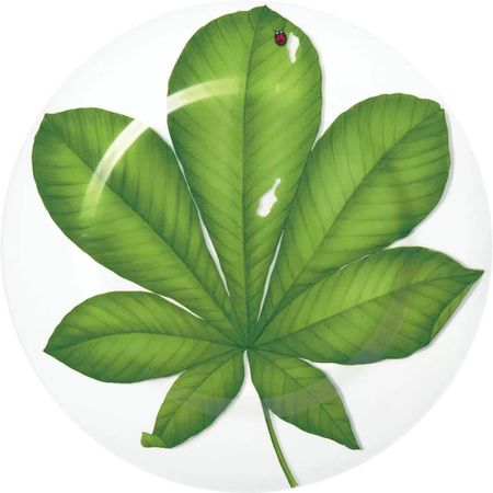 Сервировочное блюдо Taitu Freedom Leaf 1-86-D