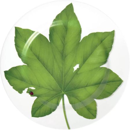 Сервировочное блюдо Taitu Freedom Leaf 1-86-A