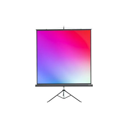 Экран для проекторов Lumien Master View LMV-100102