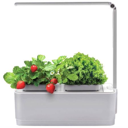 Умный сад iGarden LED белый (IGL2021)